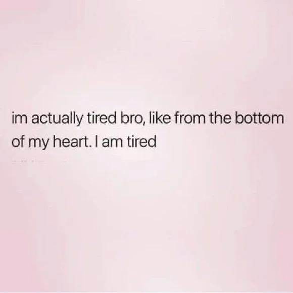 ✨ - Picture 14 of 16